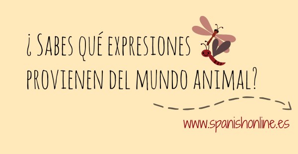 ¿Sabes qué expresiones provienen de mundo animal?